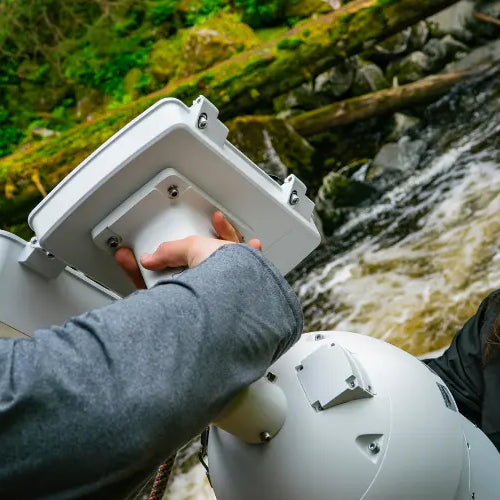 Wild Alaskan bears go fishing – watch them LIVE