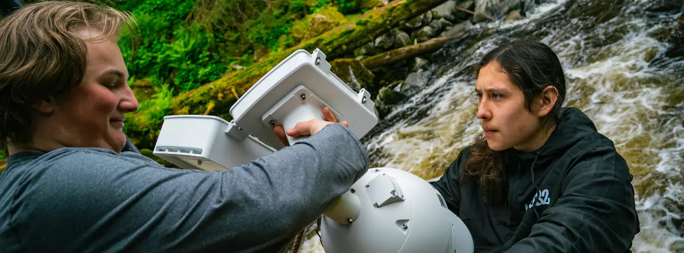 Wild Alaskan bears go fishing – watch them LIVE